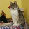 Отзыв от Кристина Корнева